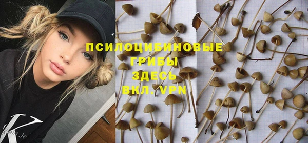 дурь Алексин