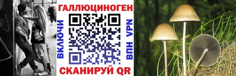 Галлюциногенные грибы Psilocybine cubensis  Одинцово 